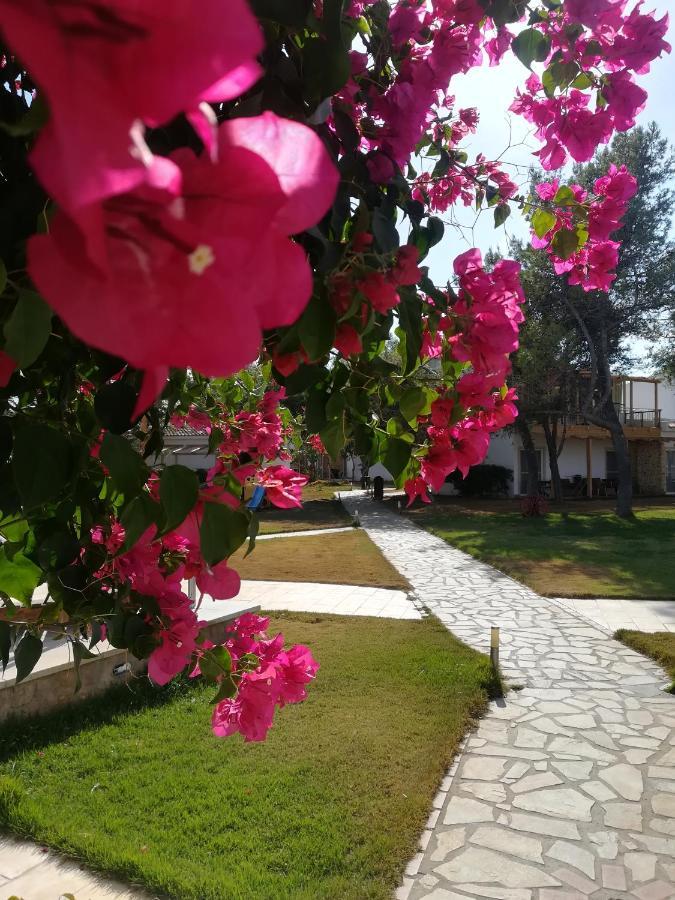 Marzi Beach And Bungalows Hotel Kokkonion Ngoại thất bức ảnh