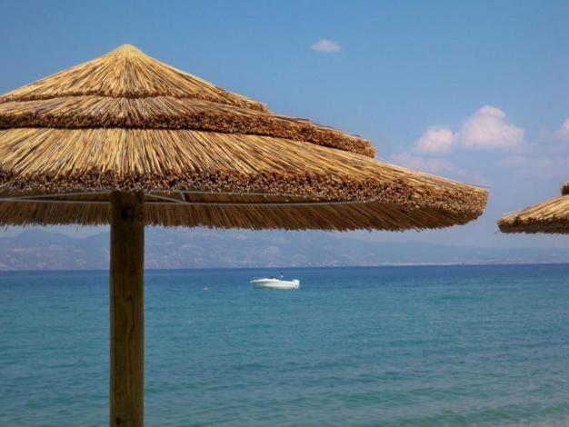Marzi Beach And Bungalows Hotel Kokkonion Ngoại thất bức ảnh